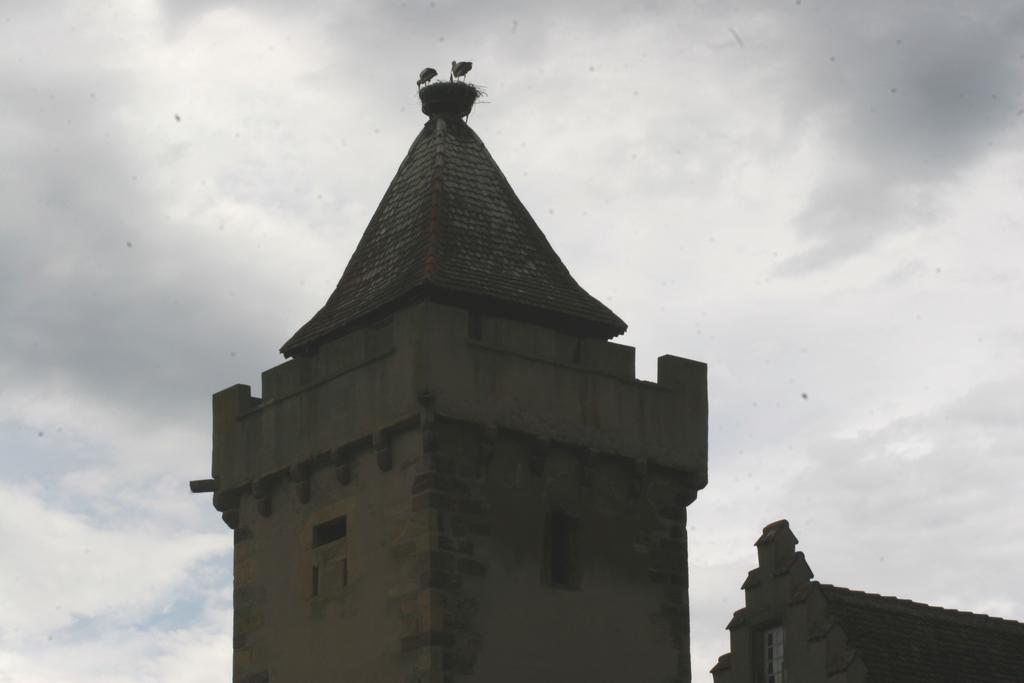 Gite Duplex Du Vignoble Alsace อูฟแฟช ภายนอก รูปภาพ
