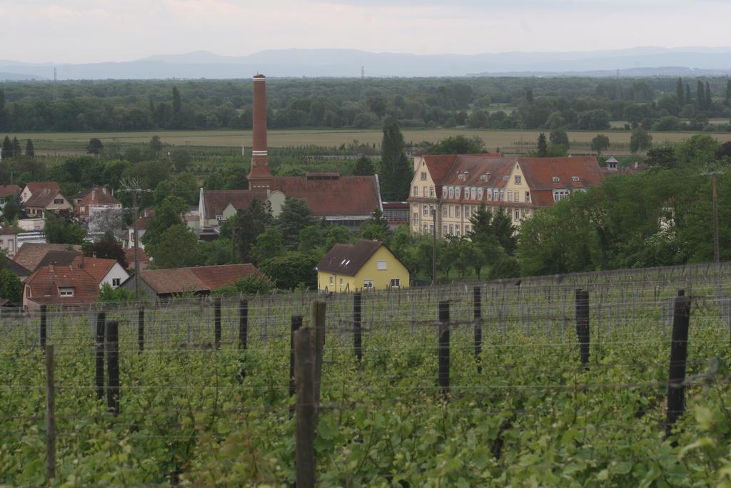 Gite Duplex Du Vignoble Alsace อูฟแฟช ภายนอก รูปภาพ